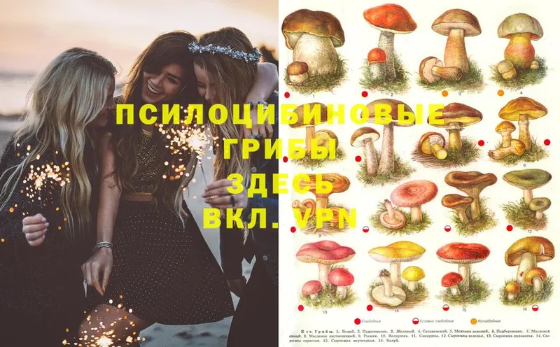 Галлюциногенные грибы MAGIC MUSHROOMS  Заринск 